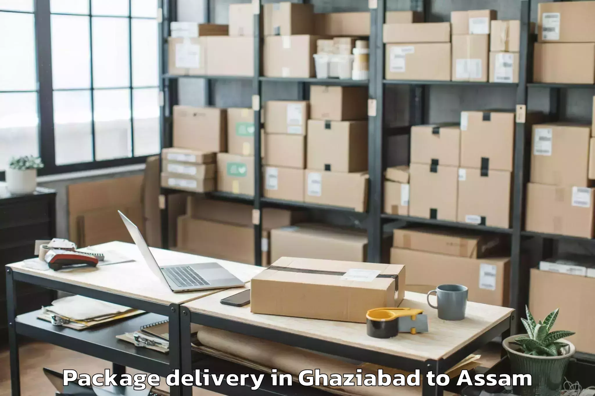 Professional Ghaziabad to Fekamari Package Delivery